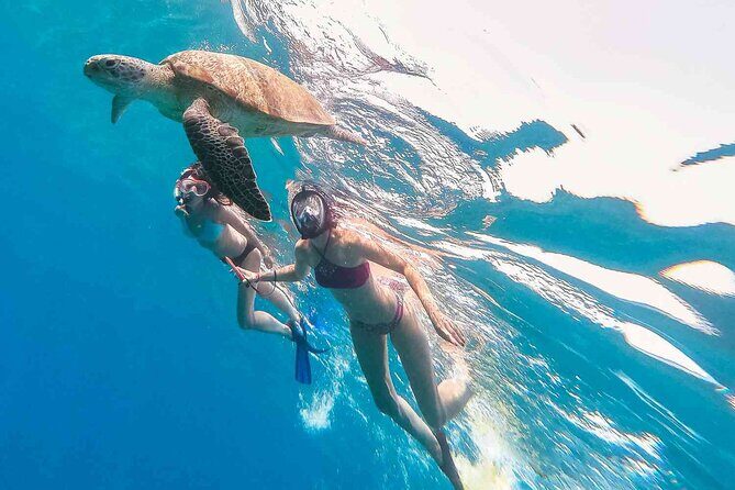 Oahu Coastline Cruise: Turtle Snorkeling and Jumping Platform - Detailed Breakdown of the Itinerary