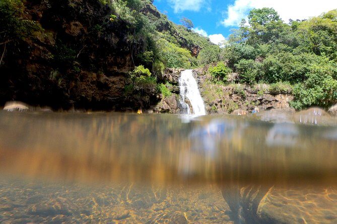 Oahu Custom Private Circle Island and Mini Circle Island Tours - Transportation, Timing, and Practical Tips