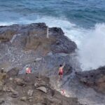 Oahu Guided Circle Island Tour, Swim w/ Turtles, Dole, Blowhole - What Travelers Say: Authentic Experiences and Honest Feedback
