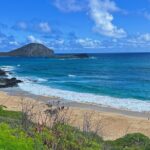 Oahu Island Experience feat the North Shore (Small Group Tour) - In-Depth Look at the Oahu North Shore Small Group Tour