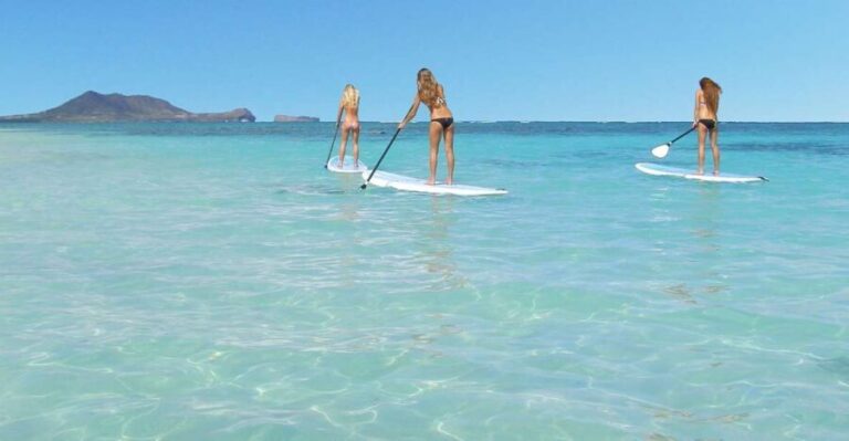 Oahu: Kailua Stand Up Paddle Board Lesson - Is This Tour Worth the Price?