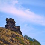 Oahu Off the Beaten Path Small-Group Tour from Honolulu - Authentic Insights and Traveler Feedback