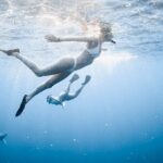 Oahu Open Water Shark Diving Experience - The Value of the Experience