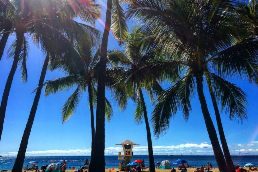 Oahu: Pearl Harbor and Honolulu City Tour - Who Should Take This Tour?