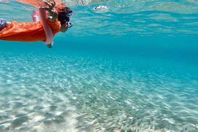 Oahu Personalized Private North Shore Highlight Custom Tour - FAQ