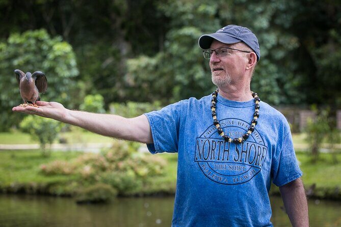 Oahu Personalized Private Tour - A Deep Dive into the Oahu Private Tour Experience