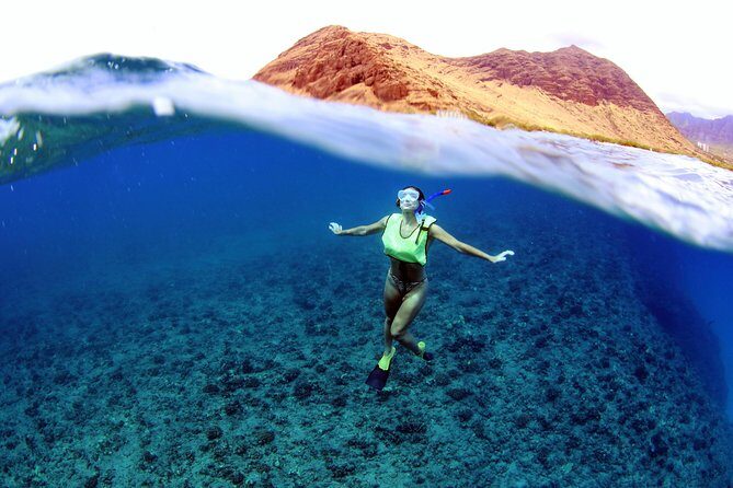 Oahu: Snorkeling and Dolphin Watch Cruise With Hawaiian Buffet - Practical details and tips