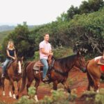 Oahu Sunset Horseback Ride - The Value of This Horseback Ride