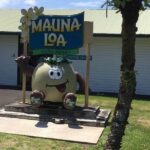 Oahu to Big Island 1 Day Trip : Volcano Tour from Oahu with Air Ticket - Final Thoughts