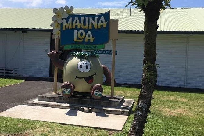 Oahu to Big Island 1 Day Trip : Volcano Tour from Oahu with Air Ticket - Final Thoughts