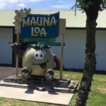 Oahu to Big Island : Big Island Volcano Helicopter Tour & Hilo 1 Day Tour - An In-Depth Look at the Tour