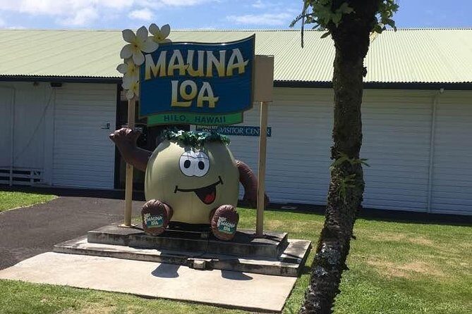 Oahu to Big Island : Big Island Volcano Helicopter Tour & Hilo 1 Day Tour - An In-Depth Look at the Tour