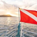 Oahu: Waikiki Turtle Canyons Cruise and Snorkel Excursion - Who Should Consider This Tour?