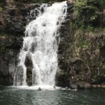 Oahu: Waimea Falls & valley & North Shore day - Exploring Oahu’s Natural Wonders and Cultural Gems