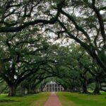 Oak Alley or Laura Plantation Tour from New Orleans - FAQ