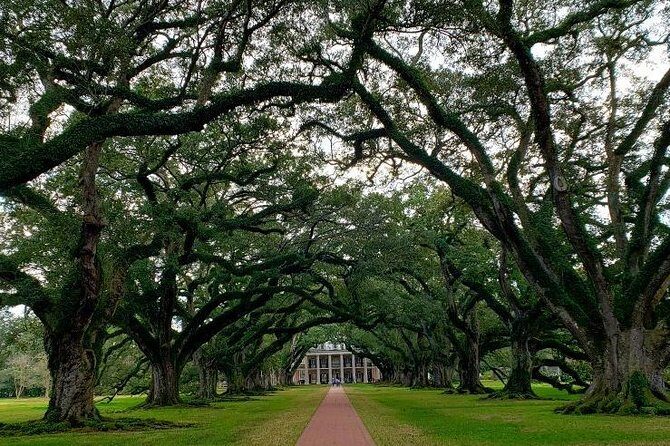 Oak Alley or Laura Plantation Tour from New Orleans - FAQ