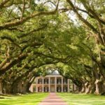 Oak Alley Plantation Half-Day Tour from New Orleans - Who Should Consider This Tour?