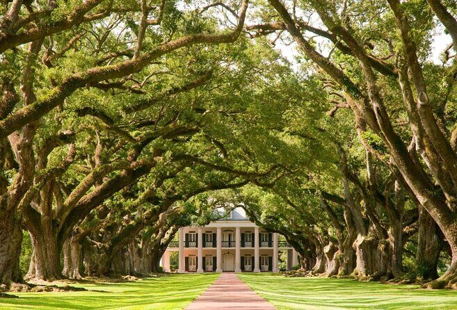 Oak Alley Plantation Half-Day Tour from New Orleans - Who Should Consider This Tour?