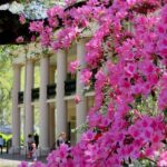 Oak Alley Plantation Tour with Transportation from New Orleans - FAQ