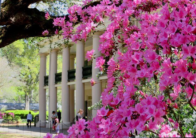 Oak Alley Plantation Tour with Transportation from New Orleans - FAQ