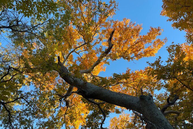 Oak Creek Canyon, with Native American history and Chapel too! - Who Should Book This Tour?