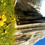 Oaxaca Conmigo Private Tours - Practical Details and Value