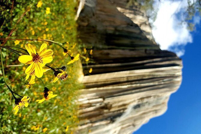 Oaxaca Conmigo Private Tours