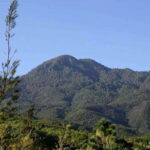 Oaxaca: Forest and Nature Walking Experience - What Reviewers Say