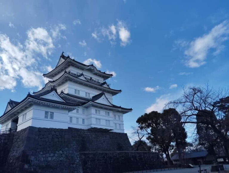 Odawara: Castle Guided Tour with Panoramic Views - Final Thoughts