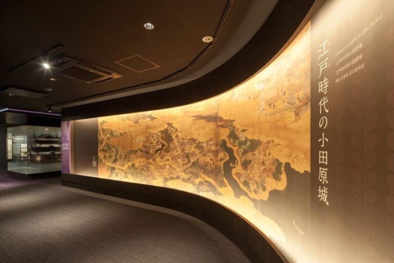 Odawara: Odawara Castle and Town Guided Discovery Tour - What Travelers Can Expect