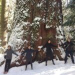 Off-Road Giant Sequoia 4x4 Tour - Who Should Consider This Tour?