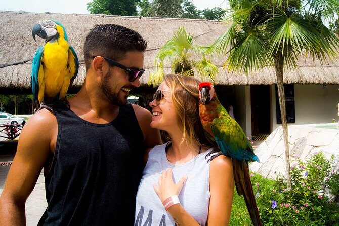 Off-Road Mayan Adventure in Cozumel with Snorkeling and Lunch - Frequently Asked Questions