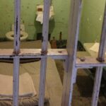 Official Alcatraz Island Prison Tour and San Francisco Bay Cruise - Authentic Insights from Fellow Travelers