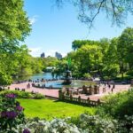 Official Central Park Walking Tour - Final Thoughts
