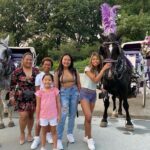 OFFICIAL NYC Central Park Horse Carriage Rides - FAQ