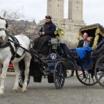 Official NYC Horse Carriage Rides in Central Park since 1979 - Final Thoughts
