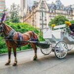Official Private New York City Central Park Horse Carriage Ride Since 1965 - Authentic Experiences and Guest Perspectives
