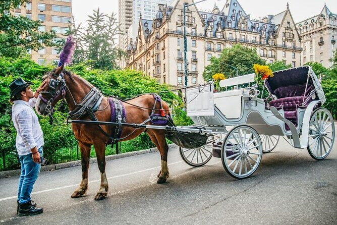 Official Private New York City Central Park Horse Carriage Ride Since 1965 - Authentic Experiences and Guest Perspectives