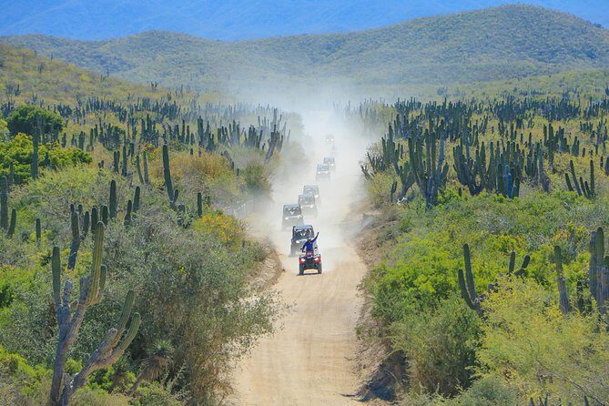 OffRoad 4X4 UTV Adventure with unlimited Lunch & Tequila - The Authenticity and Value of This Tour