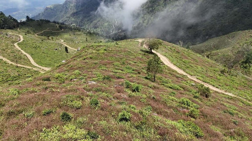 Ohiya: Devils Staircase Guided Hike to Kalupahana - Exploring Sri Lanka’s Highlands on the Devils Staircase Trail