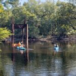 Okefenokee Swamp: Guided Kayak Tour with a Local Naturalist - An In-Depth Look at the Okefenokee Guided Kayak Tour