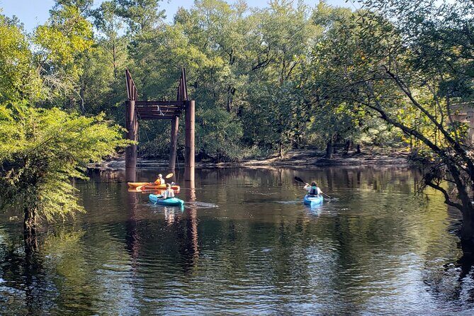Okefenokee Swamp: Guided Kayak Tour with a Local Naturalist - An In-Depth Look at the Okefenokee Guided Kayak Tour