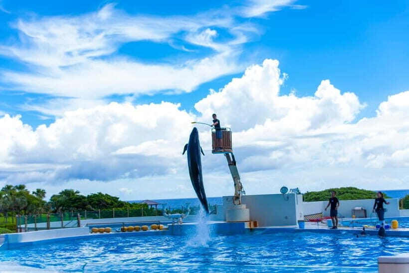 Okinawa: Aquarium, Kouri Island, & American Village Bus Tour - The Value Proposition and Who Will Love It