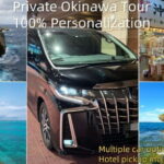 Okinawa Classic Highlights & Flexible Routes: Private Tour - Final Thoughts: Who Is This Tour Best For?