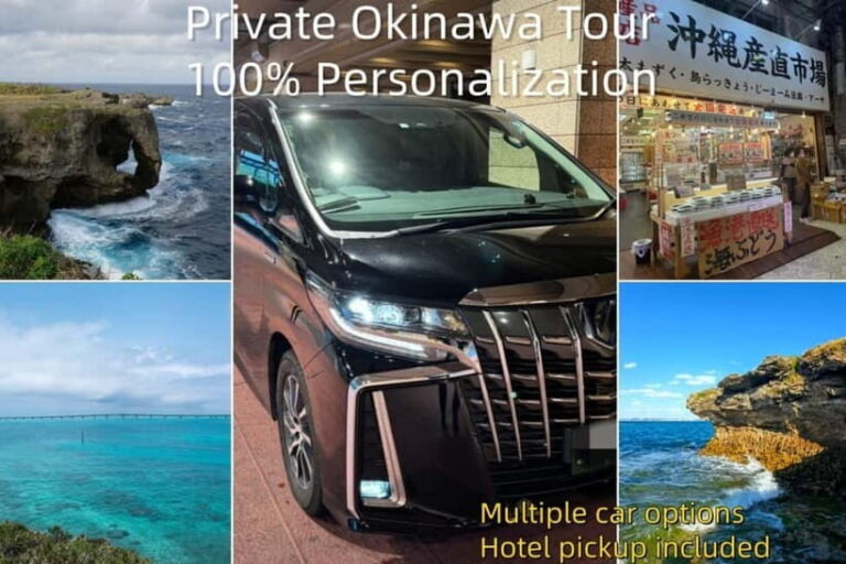 Okinawa Classic Highlights & Flexible Routes: Private Tour - Final Thoughts: Who Is This Tour Best For?