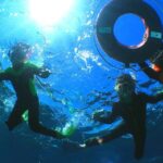 Okinawa: From Naha: Kerama Islands 1-day snorkeling tour - The Snorkeling Experience