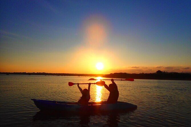 Okinawa Iriomote Sunset SUP or Canoe Tour in Iriomote Island - A Natural Journey on Iriomote’s Mangrove Rivers