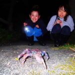 Okinawa Iriomotejima Night Adventure Tour - The Practical Side: What to Expect and Considerations