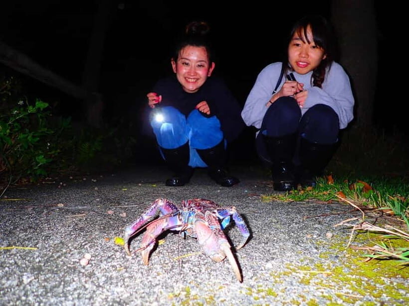 Okinawa Iriomotejima Night Adventure Tour - The Practical Side: What to Expect and Considerations