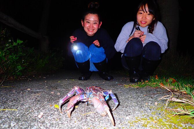 Okinawa Ishigaki Island Night Starry sky and Jungle night tour - Who Should Consider This Tour?